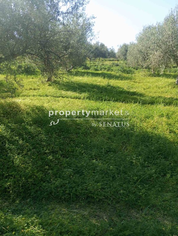 Αγροτεμάχια 4.392 τ.μ. πρός πώληση, Ν. Ρεθύμνου, Νικηφόρος Φωκάς