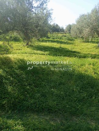 Αγροτεμάχια 4.392 τ.μ. για πώληση, Ν. Ρεθύμνου, Νικηφόρος Φωκάς