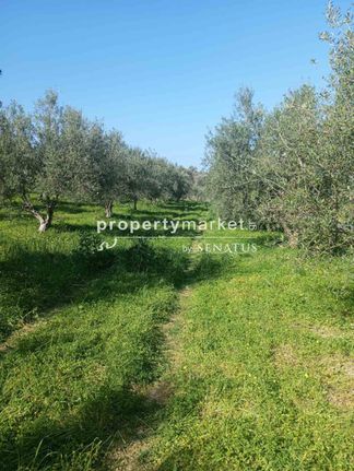 Αγροτεμάχια 4.214 τ.μ. για πώληση, Ν. Ρεθύμνου, Νικηφόρος Φωκάς