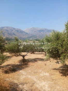 Αγροτεμάχια 4.028τ.μ. για πώληση-Λάππα » Επισκοπή