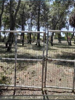 Οικόπεδο 1.005τ.μ. για πώληση-Σταμάτα » Εύξεινος πόντος
