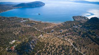 Αγροτεμάχια 15.030 τ.μ. προς πώληση, Αργολίδα, Ερμιόνη-thumb-17
