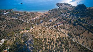 Αγροτεμάχια 15.030 τ.μ. προς πώληση, Αργολίδα, Ερμιόνη-thumb-18