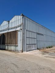 Parcel 10.000 sqm for sale