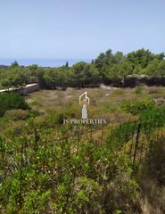 Οικόπεδο 8.916 τ.μ. για πώληση, Ζάκυνθος, Ελάτιο-thumb-1
