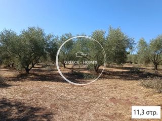 Αγροτεμάχια 33.700 τ.μ. για πώληση