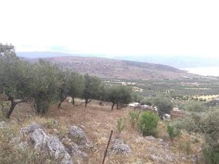 Οικόπεδο 3 τ.μ. για πώληση, Φωκίδα, Γαλαξίδι-thumb-1