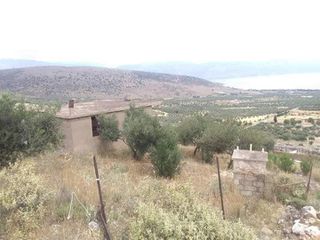 Οικόπεδο 3 τ.μ. για πώληση, Φωκίδα, Γαλαξίδι-thumb-5