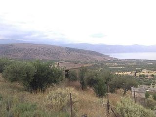 Οικόπεδο 3 τ.μ. για πώληση, Φωκίδα, Γαλαξίδι-thumb-8