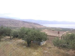 Οικόπεδο 3 τ.μ. για πώληση, Φωκίδα, Γαλαξίδι-thumb-10
