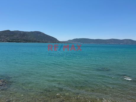 Οικόπεδο 257τ.μ. για πώληση-Σαλαμίνα
