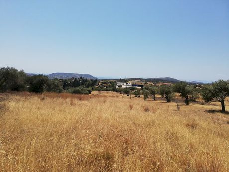 Αγροτεμάχια 12.673,35τ.μ. για πώληση-Κορωπί