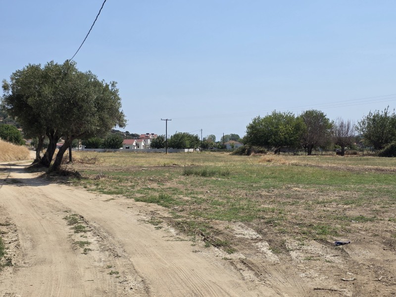 Οικόπεδο 896 τ.μ. προς πώληση, Συκιά Τορώνης