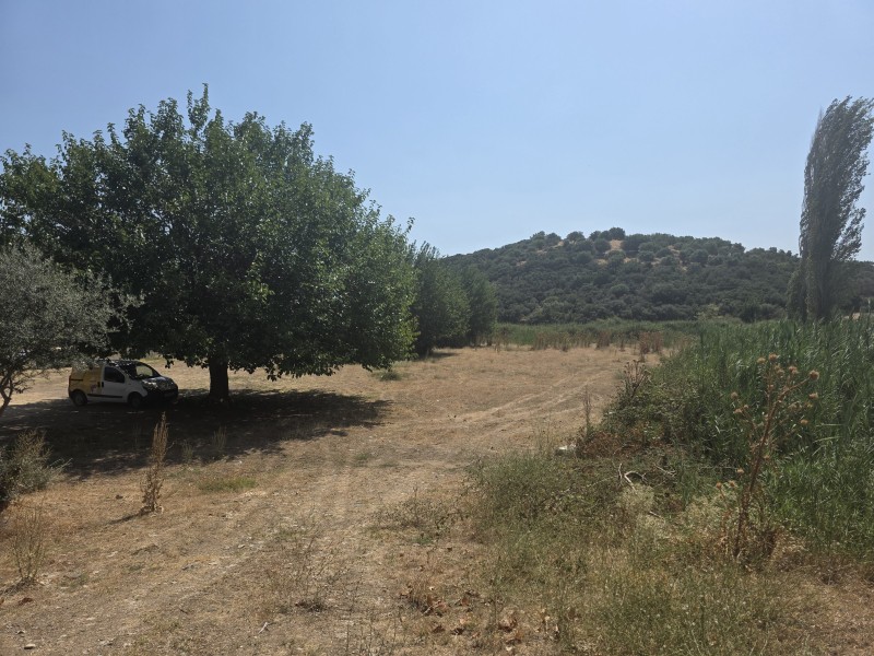 Οικόπεδο 3.246 τ.μ. προς πώληση, Συκιά Τορώνης