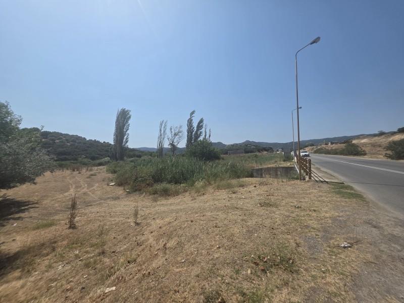 Οικόπεδο 3.246 τ.μ. προς πώληση, Συκιά Τορώνης