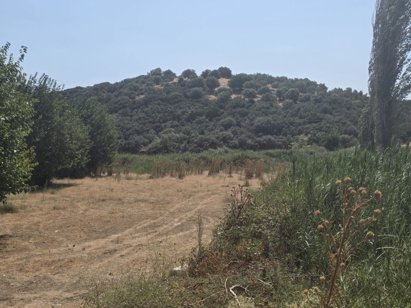 Οικόπεδο 3.246 τ.μ. προς πώληση, Συκιά Τορώνης