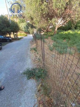 Land plot 410sqm for sale-Patra » Asirmatos