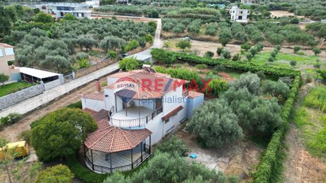 Μονοκατοικία 313τ.μ. για πώληση-Θέρισος