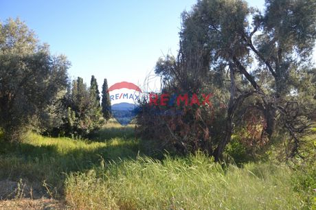 Οικόπεδο 3.290τ.μ. για πώληση-Τυμπάκι » Λαγολί