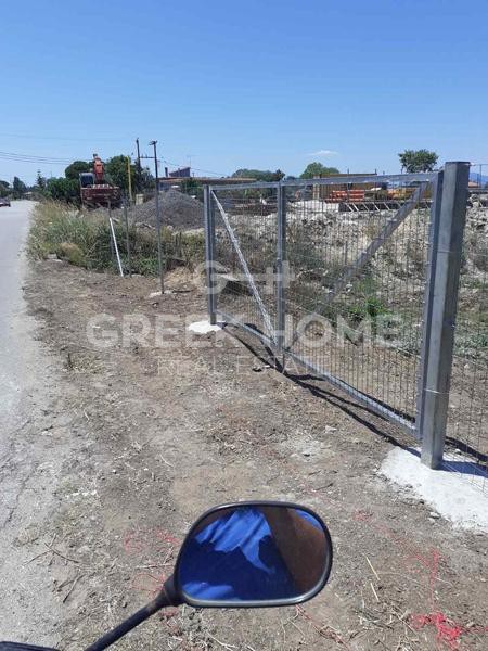 Οικόπεδο 3.500 τ.μ. προς πώληση, Πεύκη Αρτεμισίου