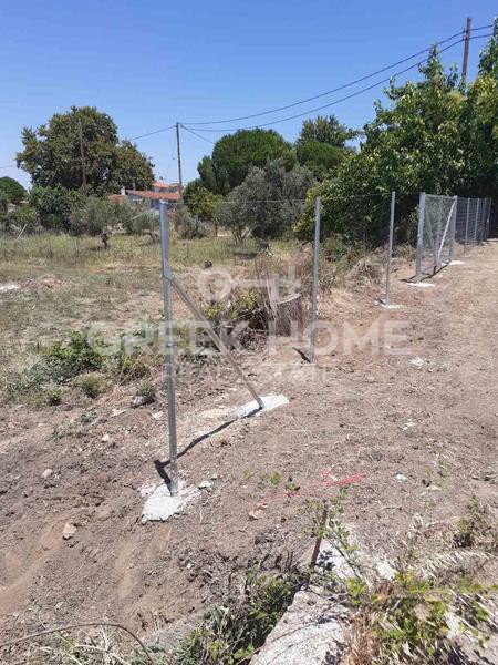 Οικόπεδο 3.500 τ.μ. προς πώληση, Πεύκη Αρτεμισίου