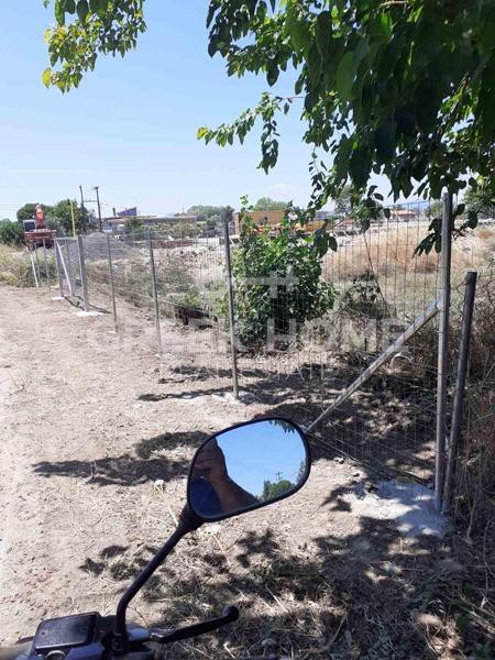 Οικόπεδο 3.500 τ.μ. προς πώληση, Πεύκη Αρτεμισίου