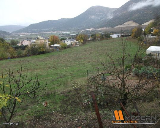 Land plot 1.100 sqm for sale, Ioannina Prefecture, Mpizanio