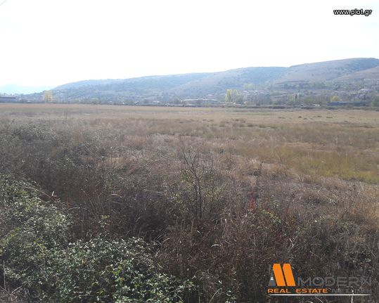 Parcel 123.000 sqm for rent, Ioannina Prefecture, Ioannina