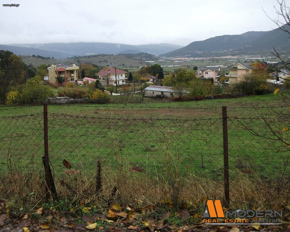 Οικόπεδο 1.429 τ.μ. προς πώληση, Αμπελεία Μπιζανίου