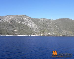 Αγροτεμάχια 7.004 τ.μ. για πώληση