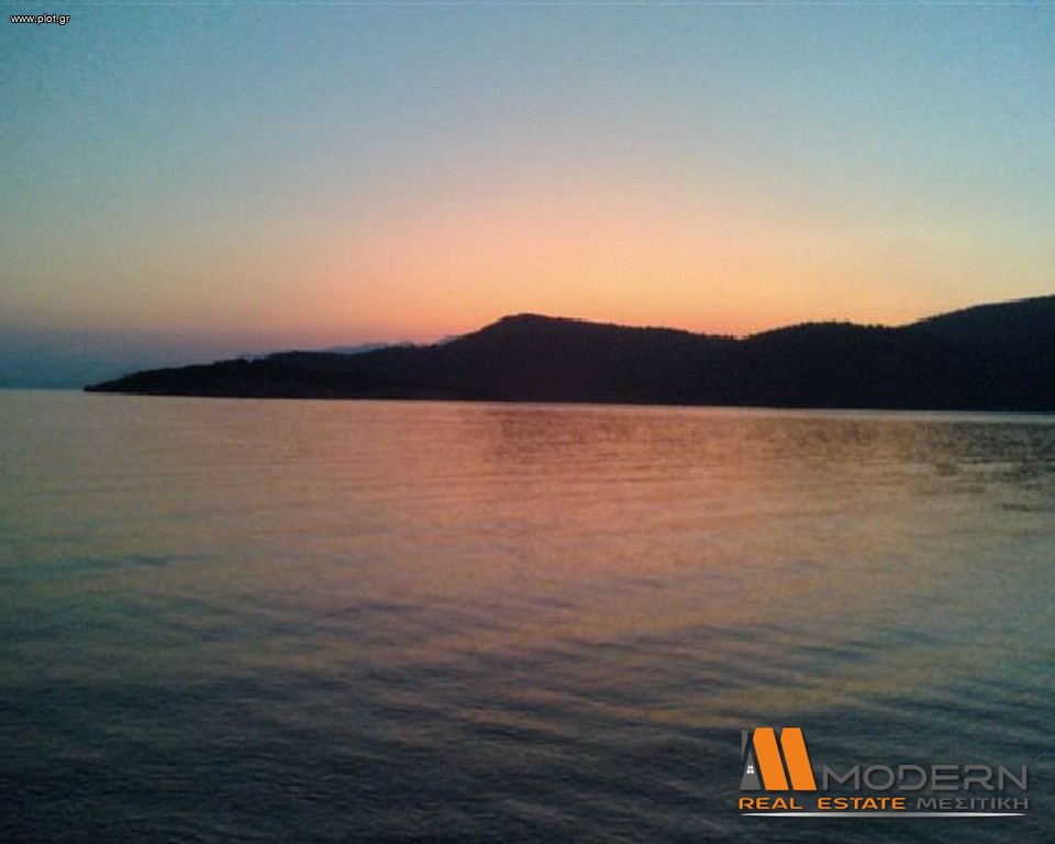 Αγροτεμάχια 7.004 τ.μ. προς πώληση, Ελλόμενο