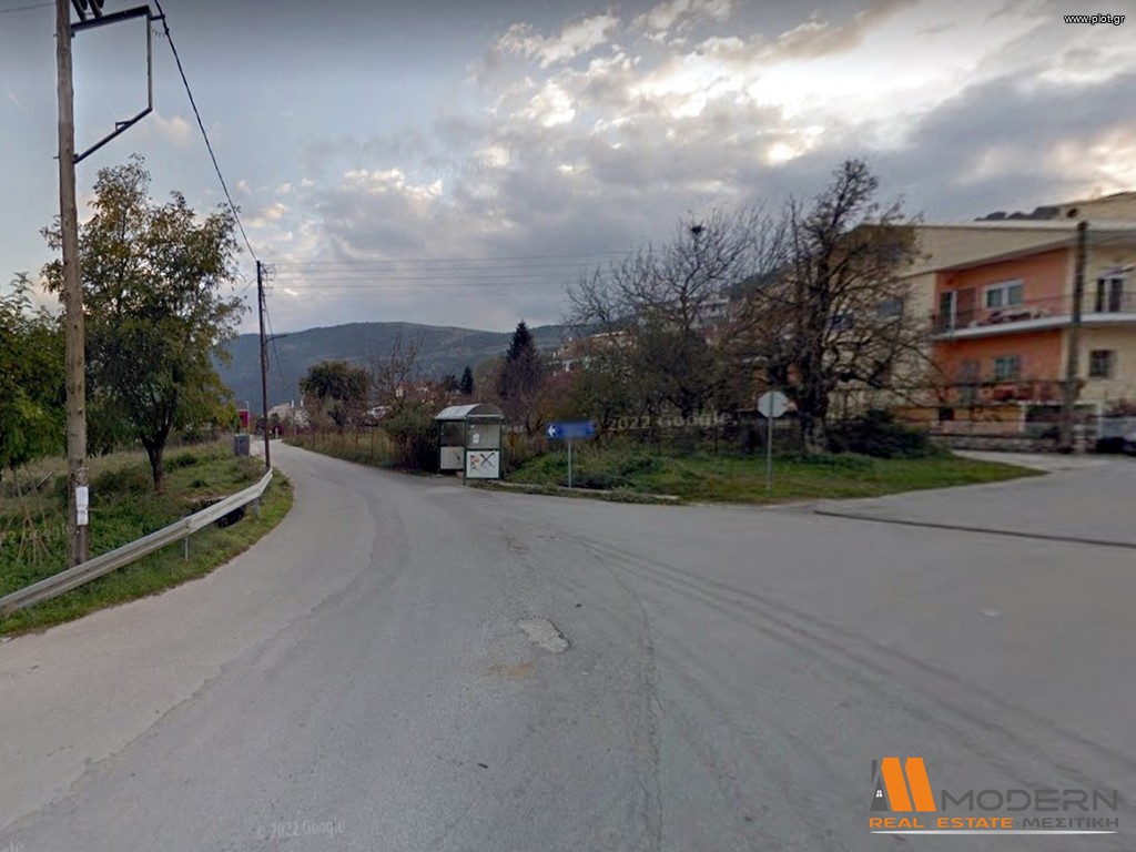 Οικόπεδο 1.000 τ.μ. προς πώληση, Αμπελεία Μπιζανίου