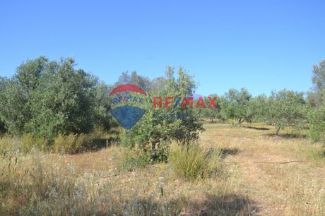 Οικόπεδο 4.646τ.μ. για πώληση-Τυμπάκι » Βώροι