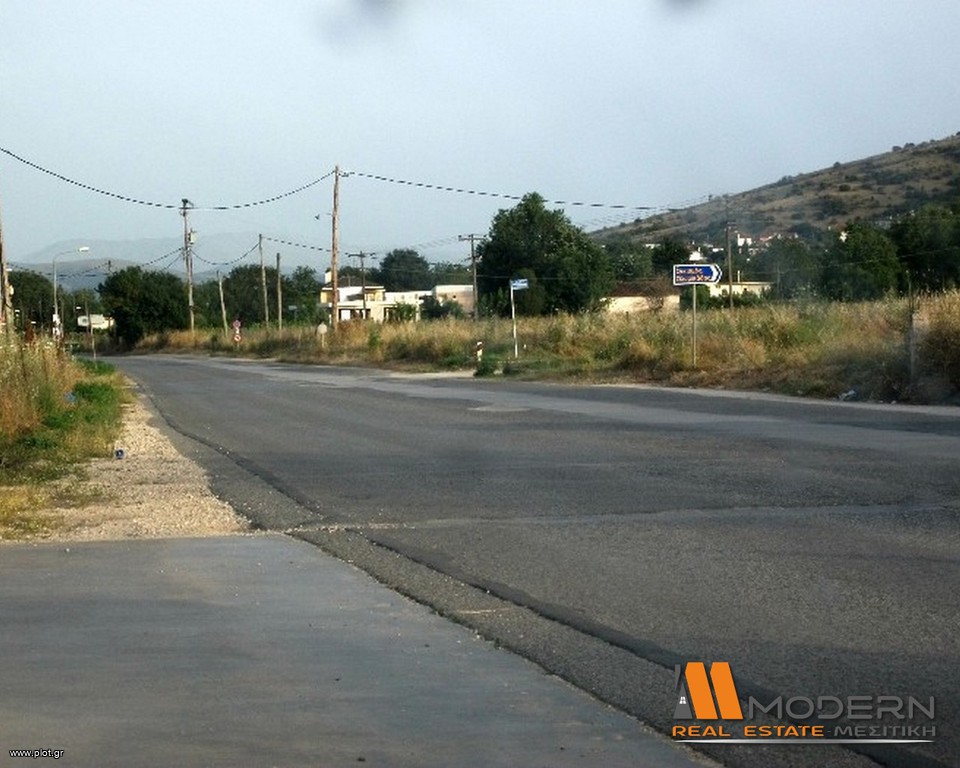 Αγροτεμάχια 4.200 τ.μ. προς πώληση, Σταυράκι