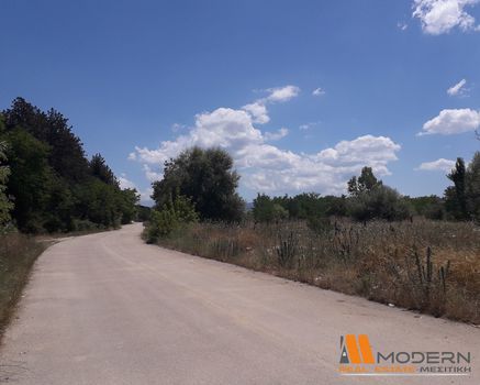 Αγροτεμάχια 41.788τ.μ. για πώληση-Ιωάννινα » Βελισσάριος