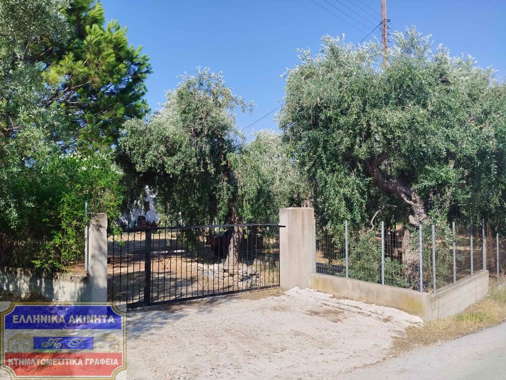 Οικόπεδο 3.000 τ.μ. για πώληση, Ν. Καβάλας, Θάσος