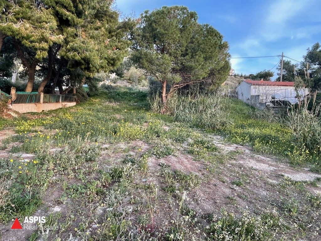 Οικόπεδο 900 τ.μ. προς ενοικίαση, Λαγονήσι
