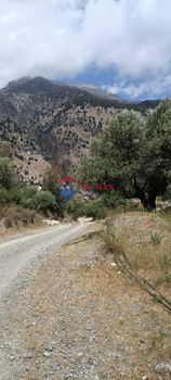 Οικόπεδο 10.000τ.μ. για πώληση-Τυμπάκι » Καμάρες