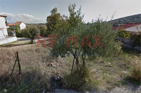 Αγροτεμάχια 1.500τ.μ. για πώληση-Παιανία