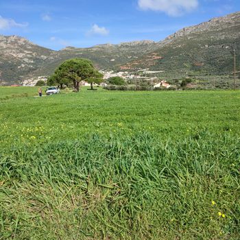 Αγροτεμάχια 3.200 τ.μ. πρός πώληση