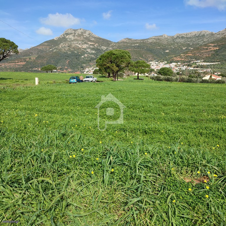 Αγροτεμάχια 3.200 τ.μ. πρός πώληση, Λακωνία, Βοϊων