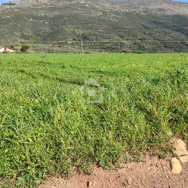Αγροτεμάχια 3.200 τ.μ. πρός πώληση, Λακωνία, Βοϊων