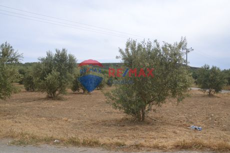 Οικόπεδο 1.607τ.μ. για πώληση-Μοίρες » Πλουτή