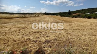 Αγροτεμάχια 8.915 τ.μ. για πώληση