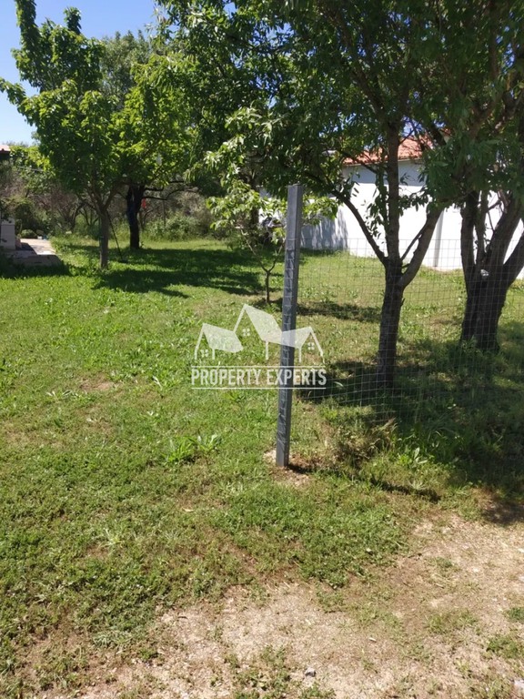 Αγροτεμάχια 170 τ.μ. προς ενοικίαση, Παραλία Δικελλών