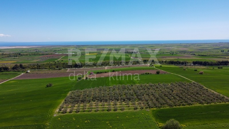 Αγροτεμάχια 18.000 τ.μ. προς πώληση, Κίτρος