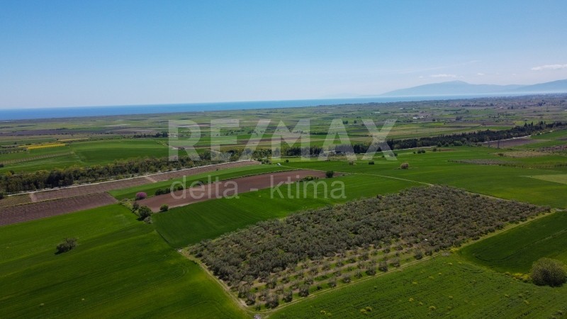 Αγροτεμάχια 18.000 τ.μ. προς πώληση, Κίτρος