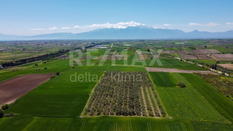 Αγροτεμάχια 18.000 τ.μ. προς πώληση, Κίτρος