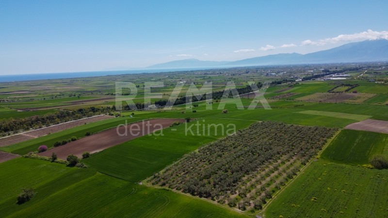 Αγροτεμάχια 18.000 τ.μ. προς πώληση, Κίτρος