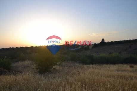 Αγροτεμάχια 6.170τ.μ. για πώληση-Μοίρες » Λίσταρος